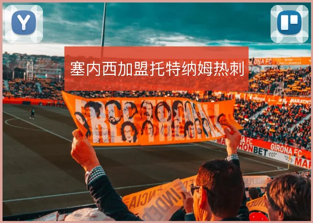 塞内西加盟托特纳姆热刺