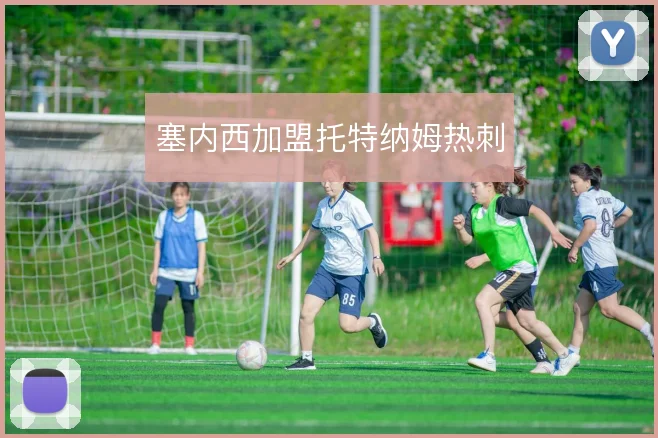 塞内西加盟托特纳姆热刺